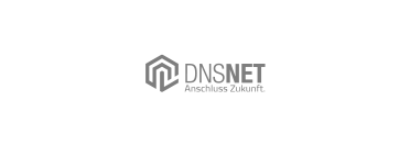 DNS Logo